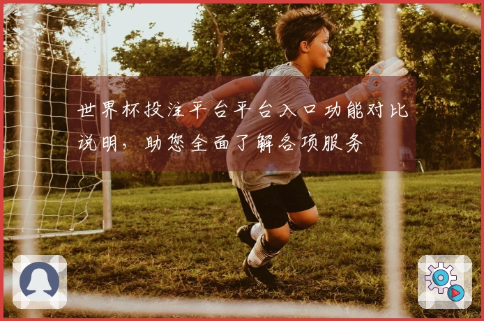世界杯投注平台平台入口功能对比说明，助您全面了解各项服务