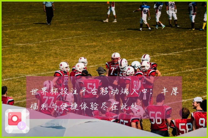 世界杯投注平台移动端入口：丰厚福利与便捷体验尽在此处