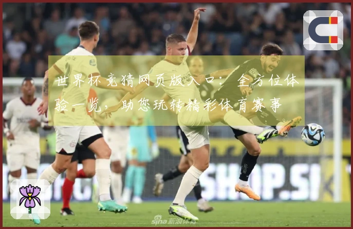 世界杯竞猜网页版入口：全方位体验一览，助您玩转精彩体育赛事