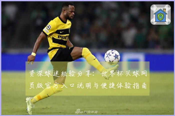 资深球迷经验分享：世界杯买球网页版官方入口说明与便捷体验指南
