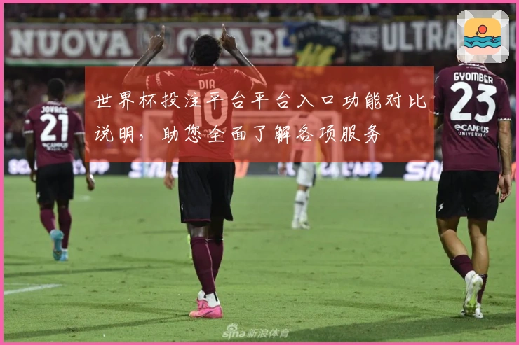 世界杯投注平台平台入口功能对比说明，助您全面了解各项服务