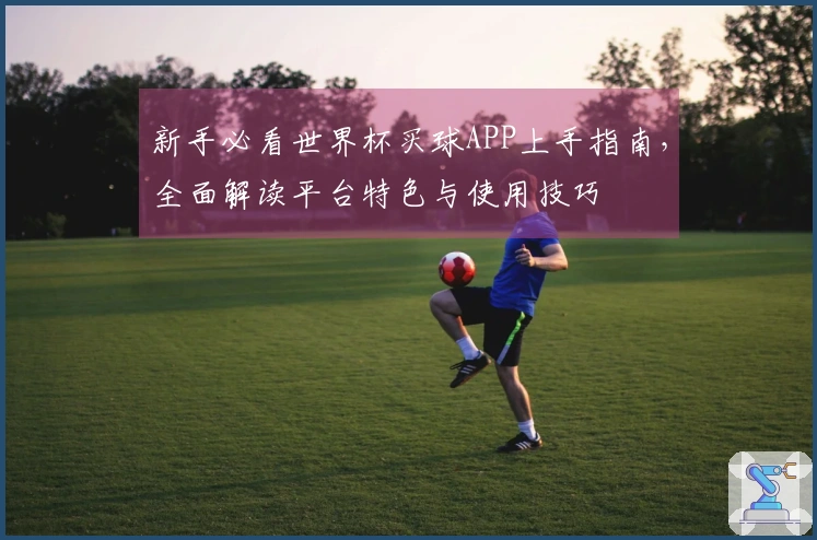 新手必看世界杯买球APP上手指南，全面解读平台特色与使用技巧