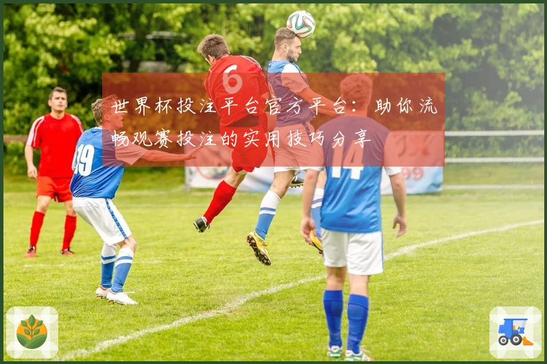 世界杯投注平台官方平台：助你流畅观赛投注的实用技巧分享