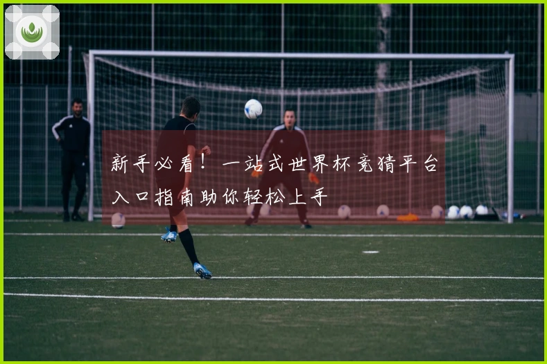 新手必看！一站式世界杯竞猜平台入口指南助你轻松上手