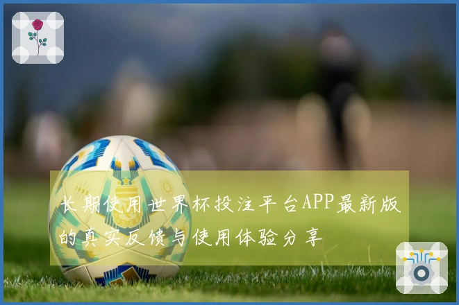 长期使用世界杯投注平台APP最新版的真实反馈与使用体验分享