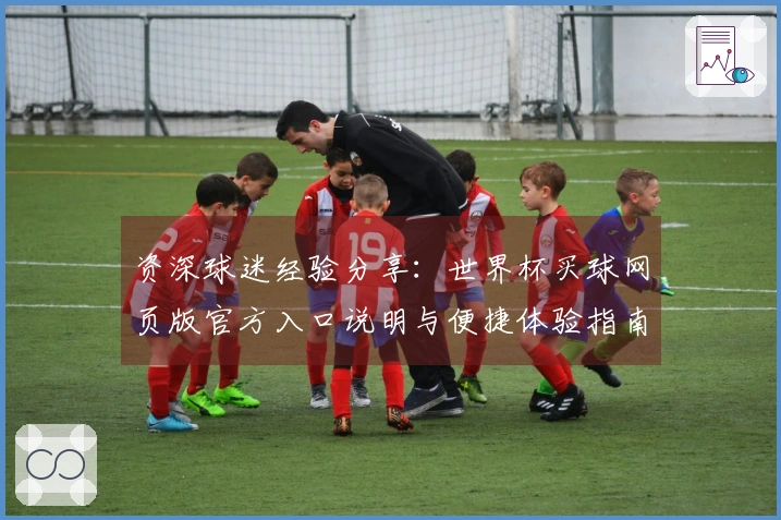 资深球迷经验分享：世界杯买球网页版官方入口说明与便捷体验指南