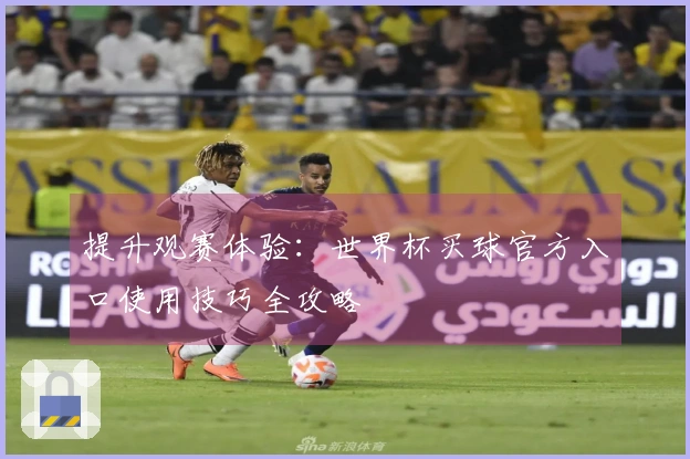 提升观赛体验：世界杯买球官方入口使用技巧全攻略