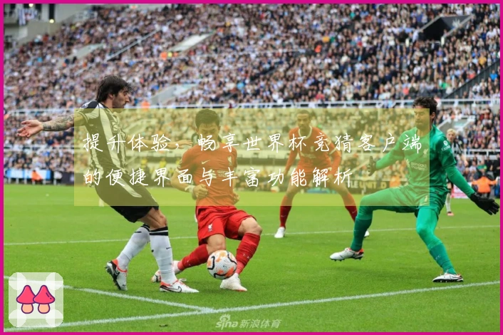 提升体验，畅享世界杯竞猜客户端的便捷界面与丰富功能解析